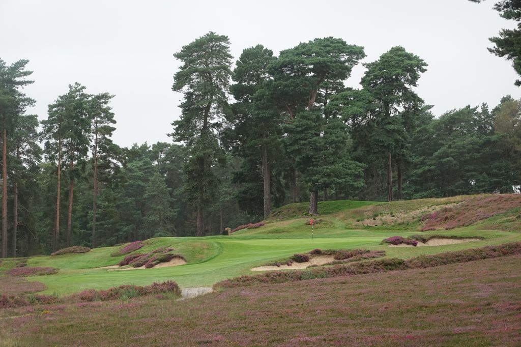 Swinley Forest Golf Club